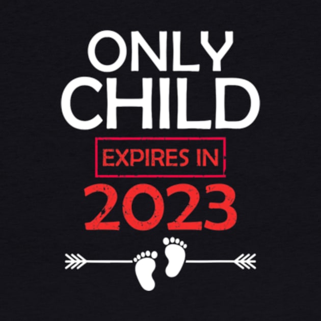 Only Child Expires 2023 Big Sister Big Brother Announcement by cloutmantahnee